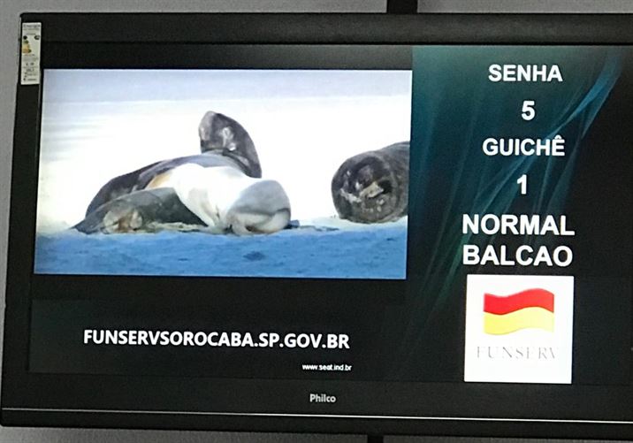 WhatsApp Image 2019 05 10 at 20.37.15